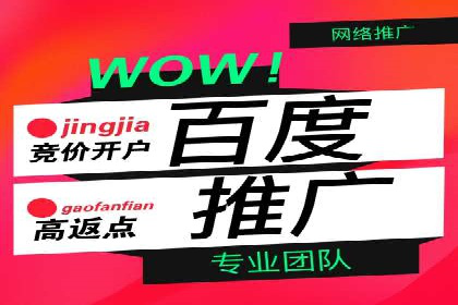 SEM推广案例：精准定位目标客户群体